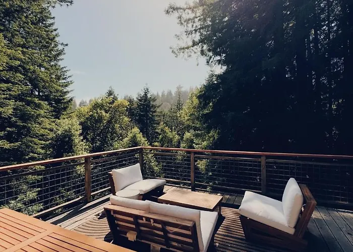 Evergreen Escape