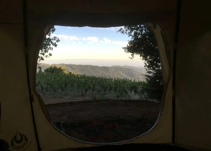 Lotus Yurt In Vineyard Overlooking Monterey Bay Near Los Gatos, California
