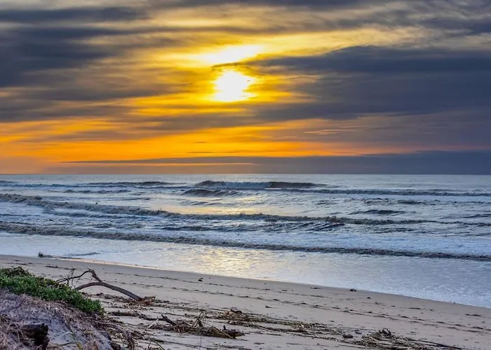 Monterey Dune Dream